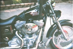 Nic's Harley